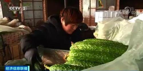白菜卖出白菜价但黄瓜却涨了!都是蔬菜,差距咋那么大?