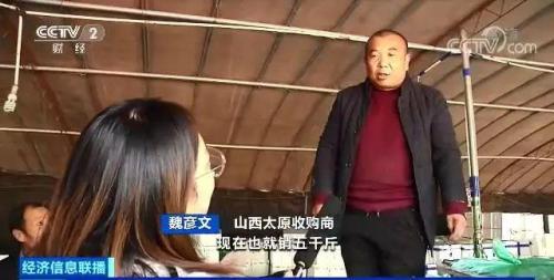 白菜卖出白菜价但黄瓜却涨了!都是蔬菜,差距咋那么大?