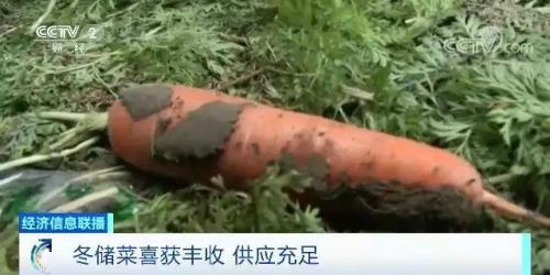 白菜卖出白菜价但黄瓜却涨了!都是蔬菜,差距咋那么大?