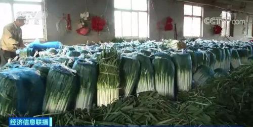 白菜卖出白菜价但黄瓜却涨了!都是蔬菜,差距咋那么大?