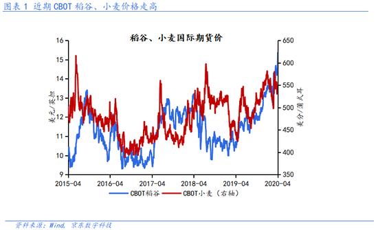 沈建光：中国增加粮食储备 防范潜在价格波动