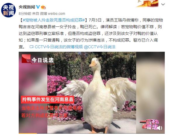 宠物被人拎走致死是否构成犯罪？解读王珞丹微博寻鸭事件