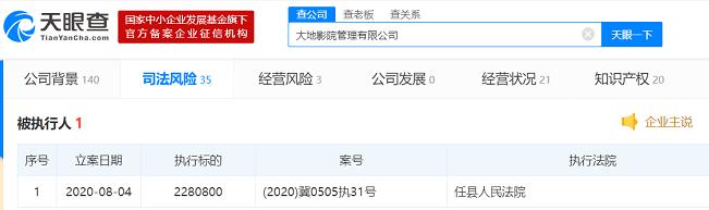 大地影院管理有限公司成被执行人 执行标的超228万