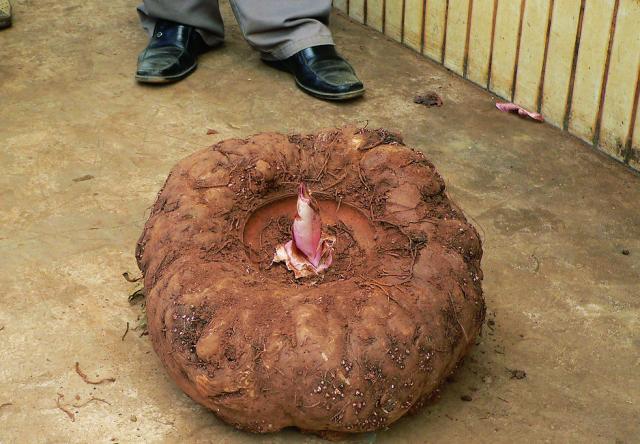 全面帮扶90个对口贫困县 京东荣膺北京市扶贫协作先进集体