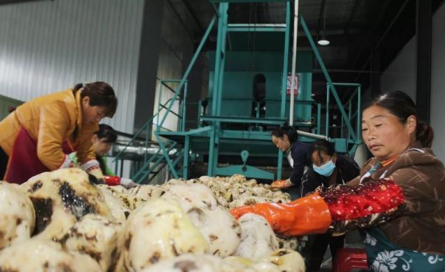 全面帮扶90个对口贫困县 京东荣膺北京市扶贫协作先进集体