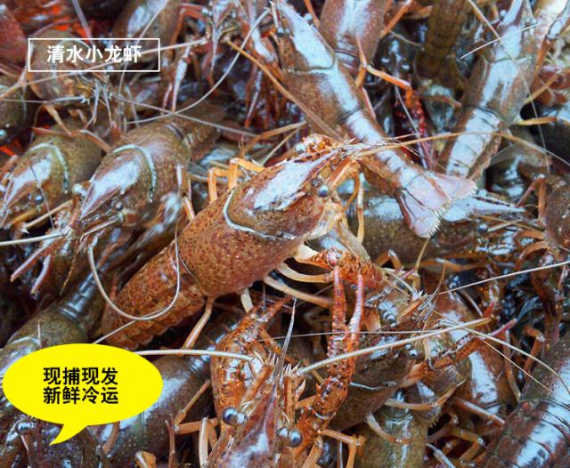 京东生鲜整合平台优势资源，助力小龙虾行业转型升级
