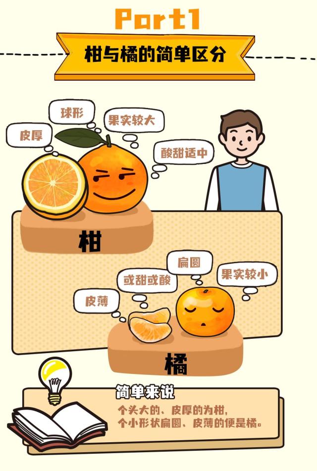 十几种柑橘傻傻分不清？一张图让你看得清楚吃得明白！