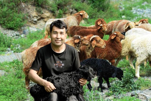 新疆哈萨克族铁辽什：从传统游牧人加速迈入京东618现代产业