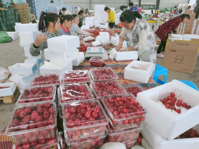 他带20多名退伍军人卖樱桃，四年销售额从30万涨到4000万