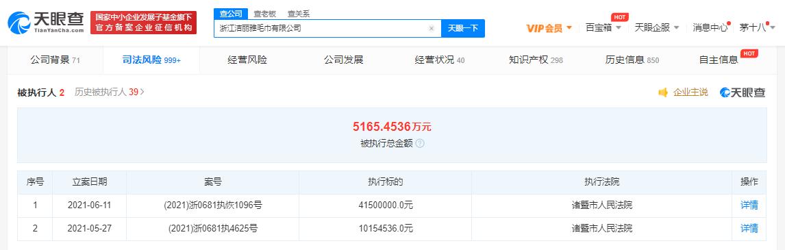 洁丽雅毛巾被强制执行超5100万 公司存在多条限制消费令(图1)