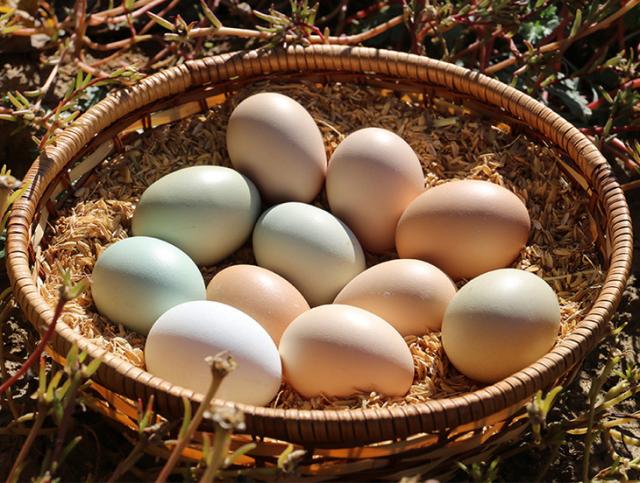 京东联合蛋类头部品牌德青源独家首发低醇鸡蛋 推动农产品产销正循环