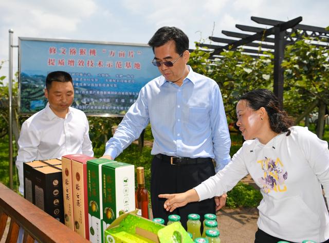 中国修文猕猴桃与京东齐心合力 让“小”果子托起乡村产业“大”振兴
