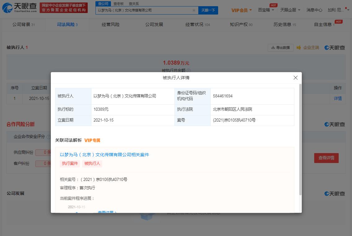 豆瓣网红鼻祖张辛苑传媒公司被强制执行