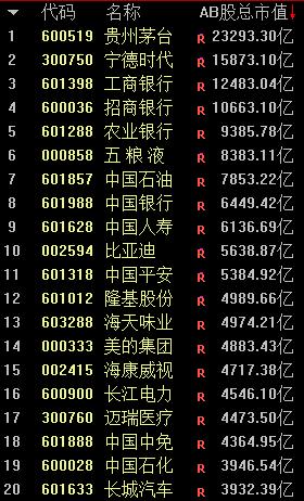 全球股市市值排行_宁德时代大涨超6%创历史新高市值超越工商银行排名A股第二