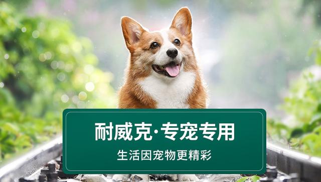 携手京东宠物参与2022年春晚互动 宝路提供丰富宠物品类优惠券