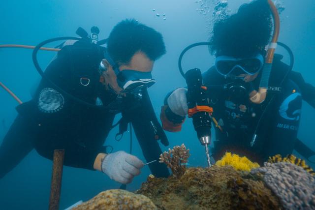 快手联合蜈支洲岛发布“海底花园”计划，号召公众共同参与珊瑚保护行动