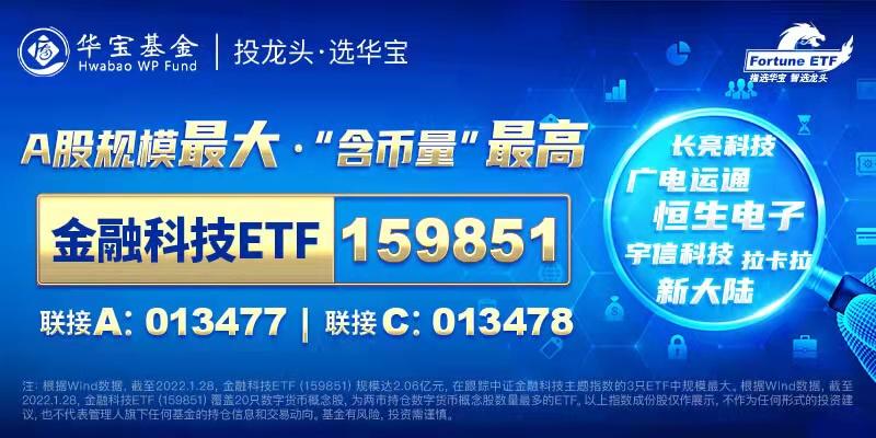 金融科技ETF（159851）