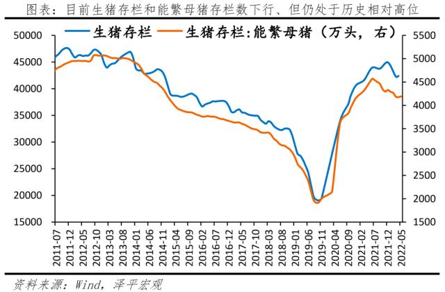 任泽平：下半年中国经济将引领全球，猪周期进入新一轮筑底上行期