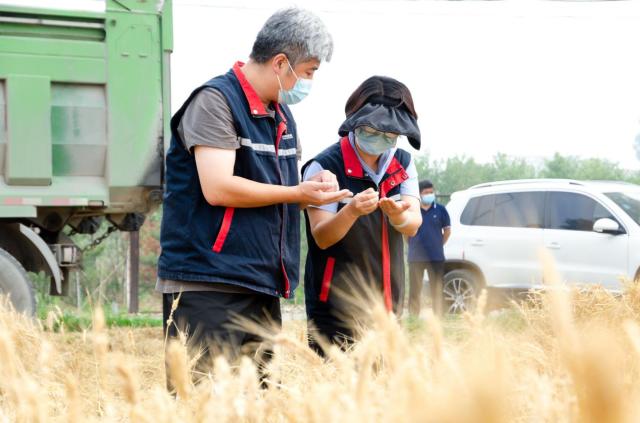 聚焦粮食安全 服务乡村振兴——中华财险全面推进农业保险高质量发展