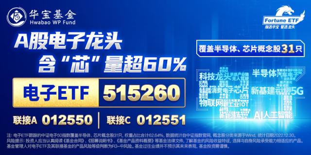 北向折返爆买121亿元！科技龙头板块获百亿流入，港股逆袭回暖，化工ETF异常放量！