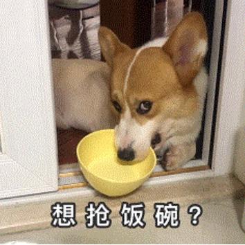 智能电动车的未来怎么看？我用12个问题“专访”了一下ChatGPT……