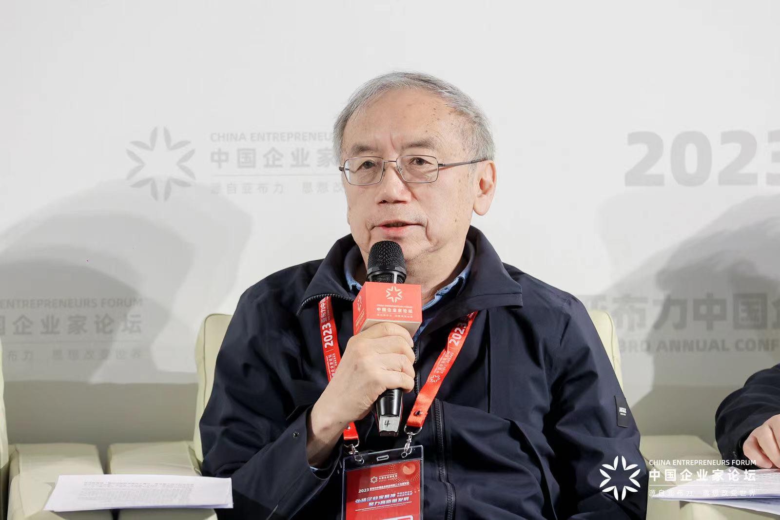 王小鲁