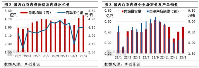 图片0