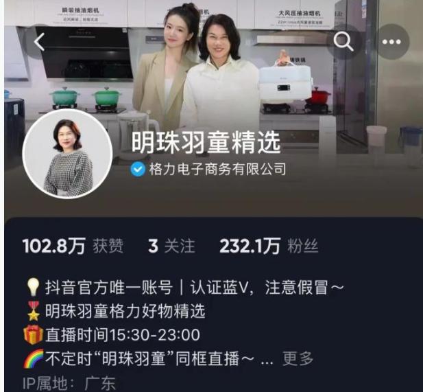 孟羽童