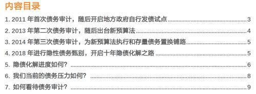  如何理解地方政府债务审计？ 