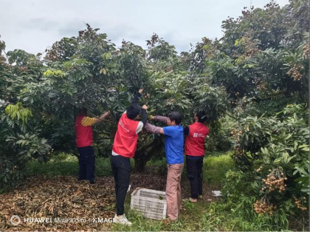 广东人保财险：与“泰利”赛跑，凝心聚力打好防台风硬仗