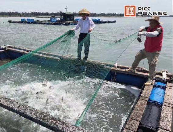 广东人保财险：与“泰利”赛跑，凝心聚力打好防台风硬仗