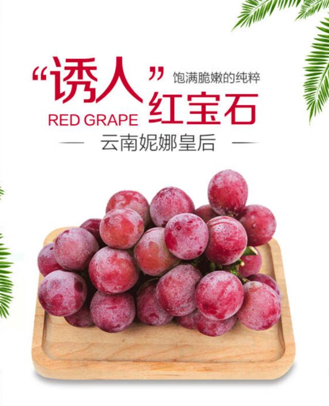 最贵葡萄上市每斤50至170元 京东超市宣布天价葡萄降至平民价 价格低于市价三成