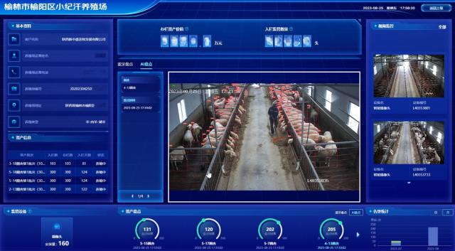国内首例！京东科技推出肉羊产品数字化融资解决方案