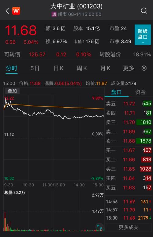 “神秘买家”现身!大中矿业回应竞得川西天价锂矿:42亿一次缴清能实现