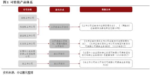  可转债发行全解析及其对利润表的影响 