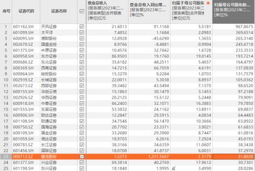  券商半年报大扫描：“看天吃饭”有喜有忧 |上市公司半年报大解读 