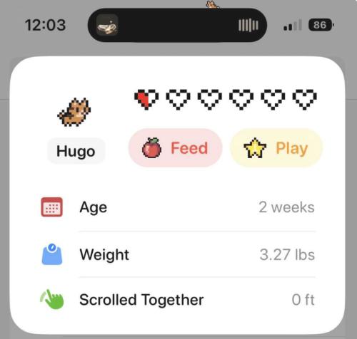 CQ9电子iPhone 的“灵动岛”竟然还能这么玩?!(图1) CQ9电子iPhone 的“灵动岛”竟然还能这么玩?!(图1)