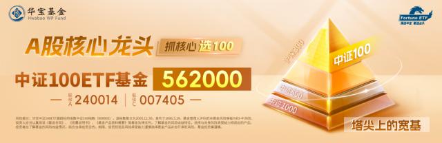 中证100ETF基金盘中资讯 20231103