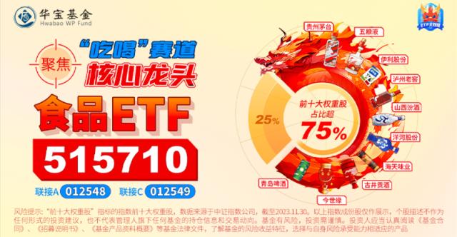 整体日报复盘1228