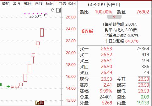 “尔滨”火了，概念股涨飞了