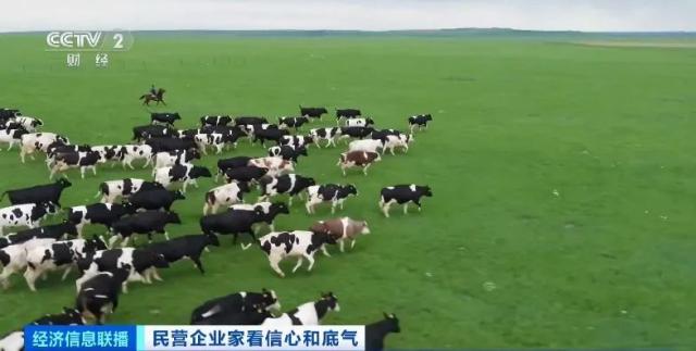 央视财经-领导人访谈稿件(1)