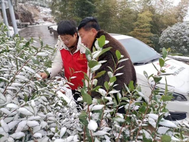 浙江人保财险快速开展雨雪冰冻救灾理赔（准）