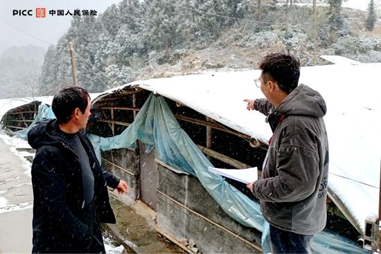 浙江人保财险快速开展雨雪冰冻救灾理赔（准）