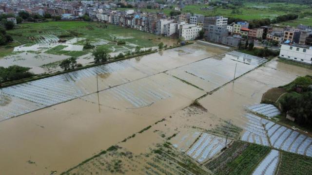 【2024.4.21】闻汛而动！中华财险广东分公司全力护航农业生产安全