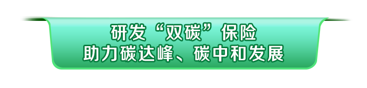 中国人保践行险企之责