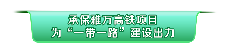 中国人保践行险企之责