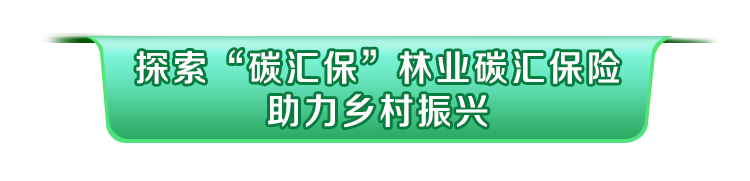 中国人保践行险企之责