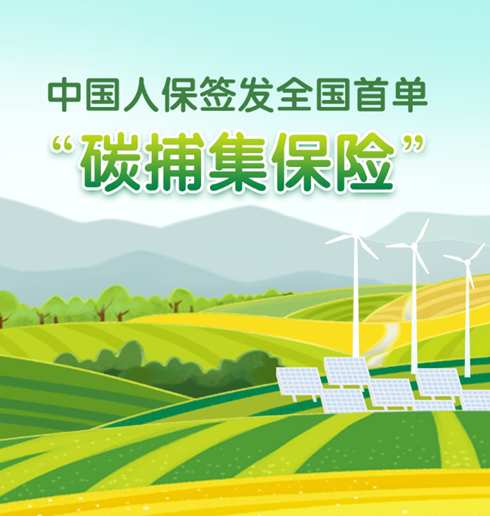 中国人保践行险企之责