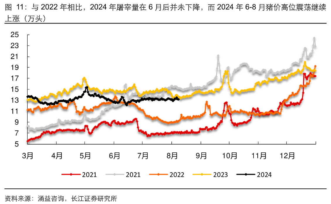 畜牧养殖午间资讯20240822