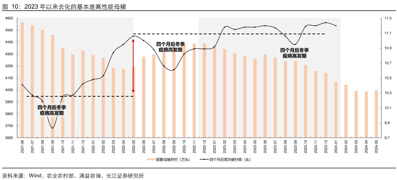 畜牧养殖午间资讯20240822